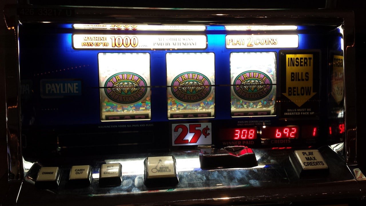 bull bet